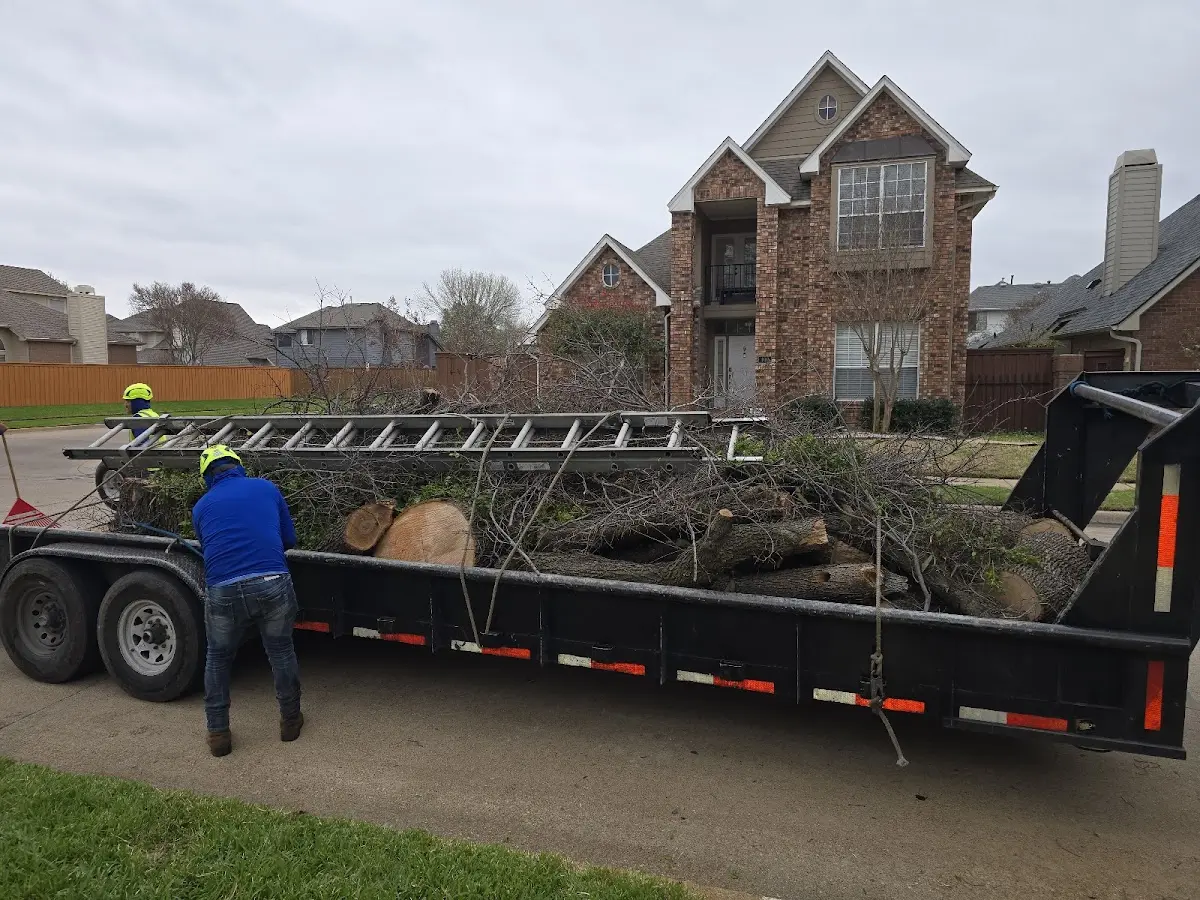 Expert Tree Pest Control with proper safety equipment in Culbertson